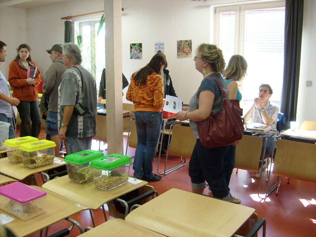 1.výstava ČKK (4).JPG