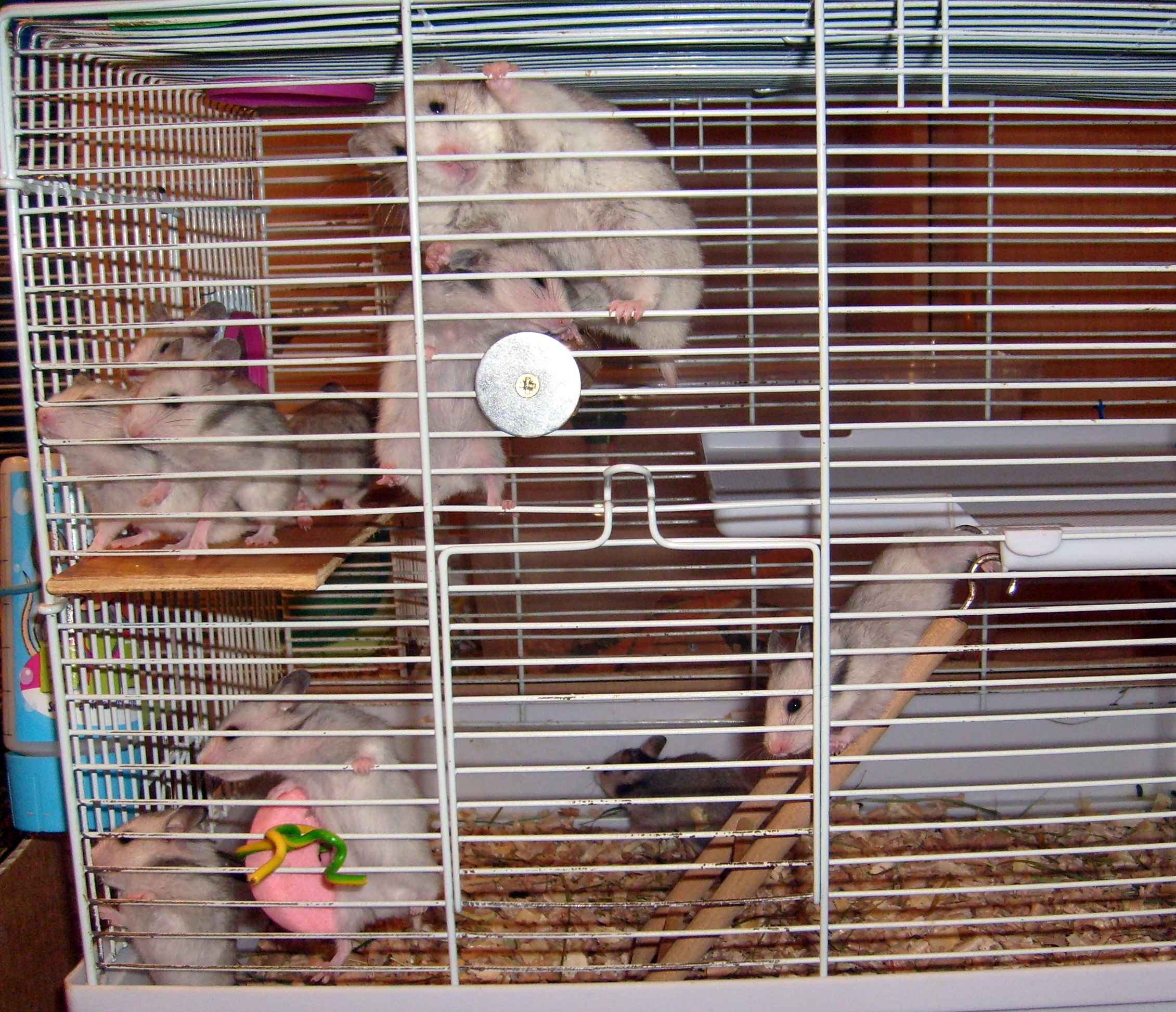 Betty+10-4_Small.jpg