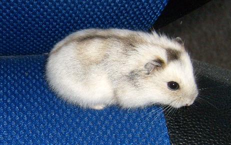 Oskar (1).jpg